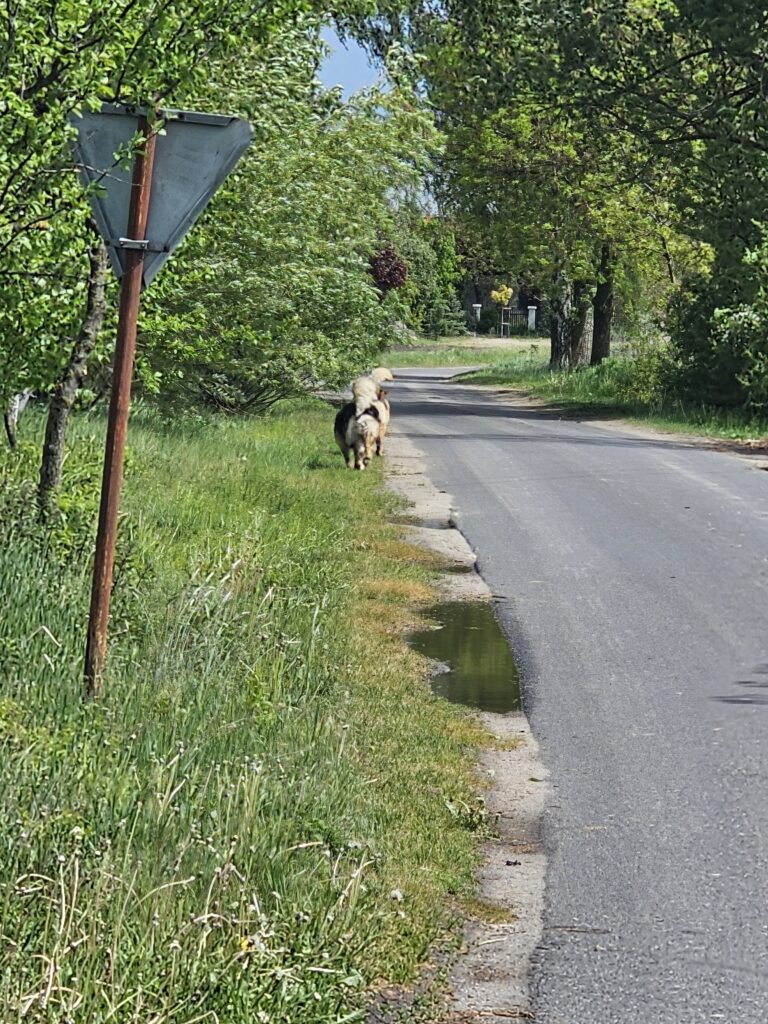 ABECADŁO