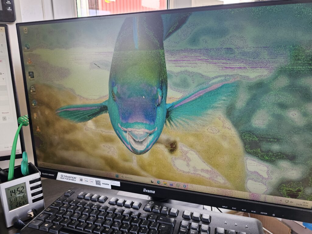 TEST